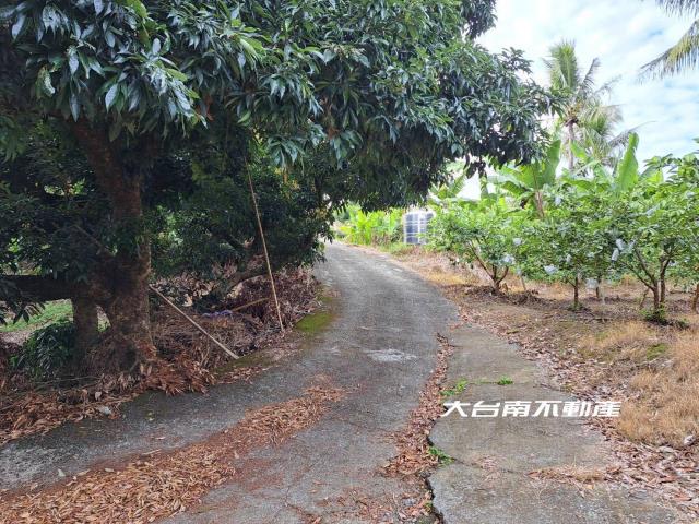 台南農地-7