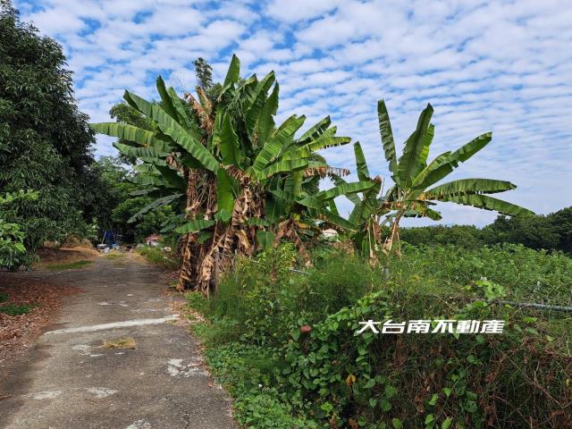 台南農地-8