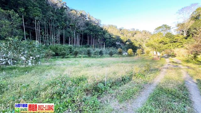 新竹北埔農地-4