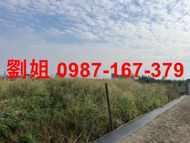高雄路竹農地-1