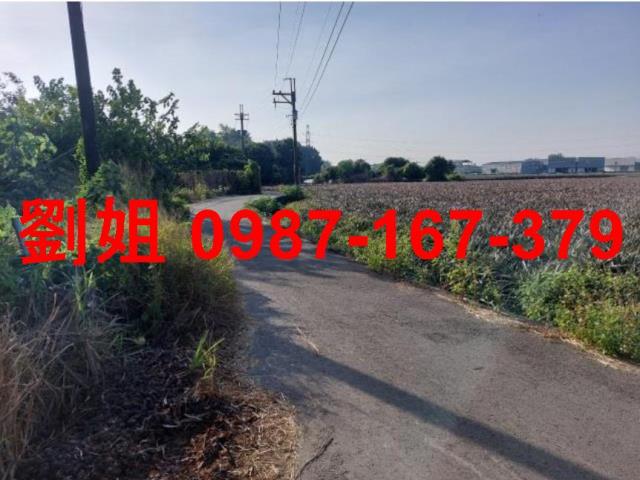高雄大社農地-1