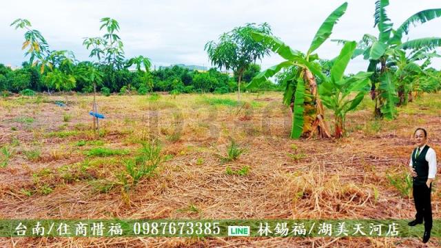 仁德農地-6