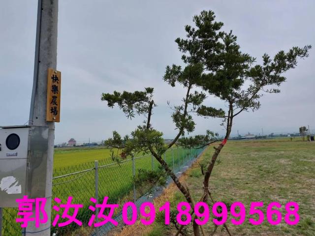 台南白河農地-14