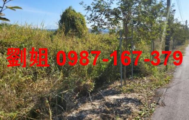 高雄燕巢農地-3