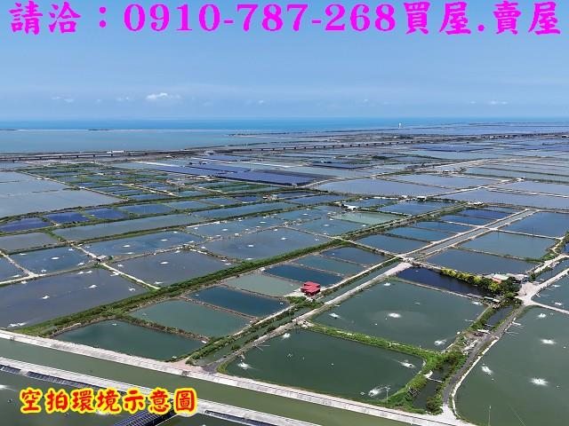 台南七股養殖地-10