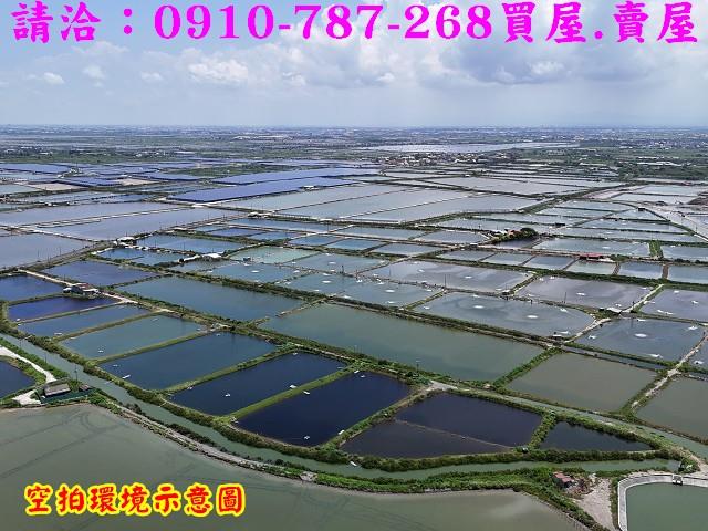 台南七股養殖地-6