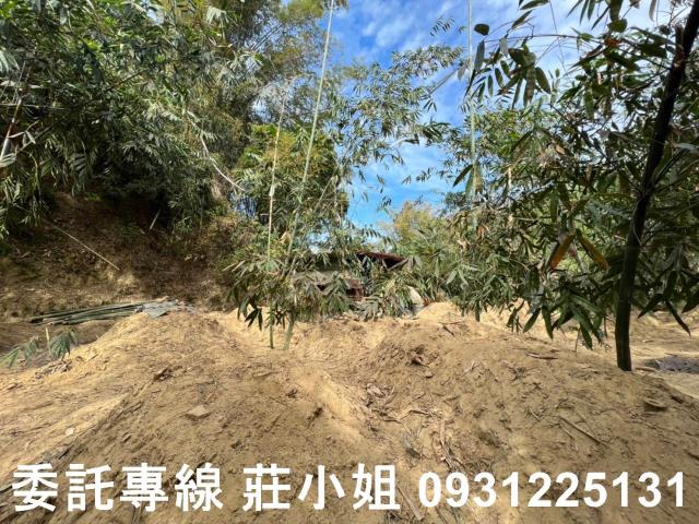 左鎮農地-1