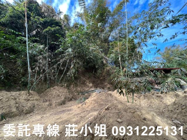 左鎮農地-2