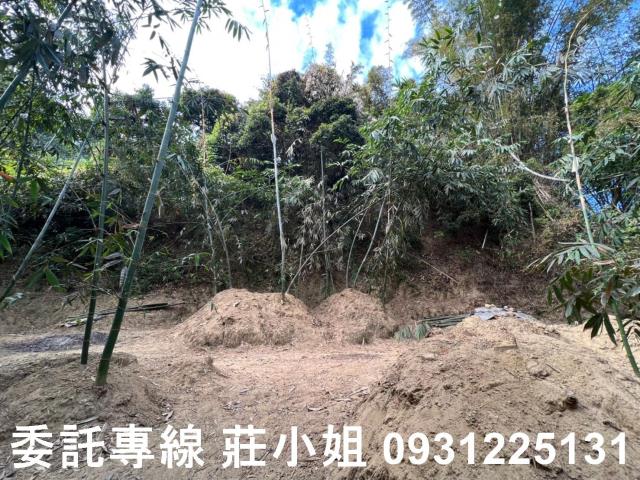 左鎮農地-3
