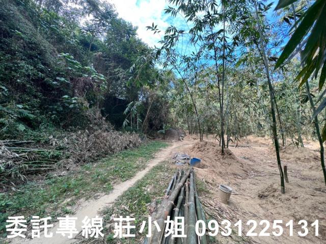 左鎮農地-4