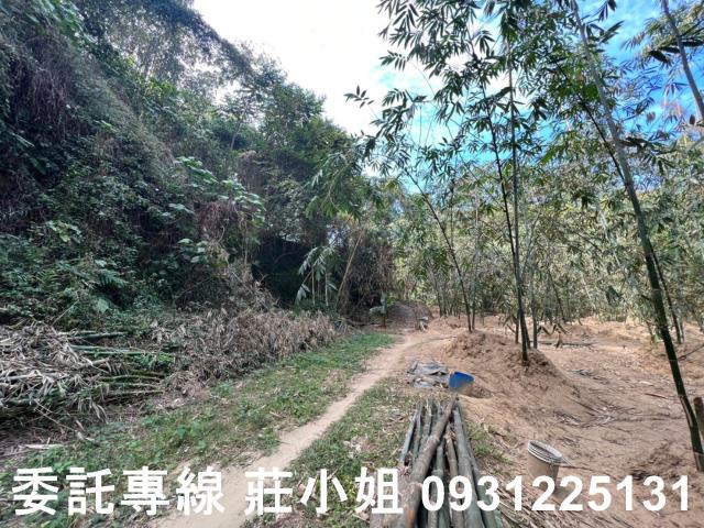 左鎮農地-5