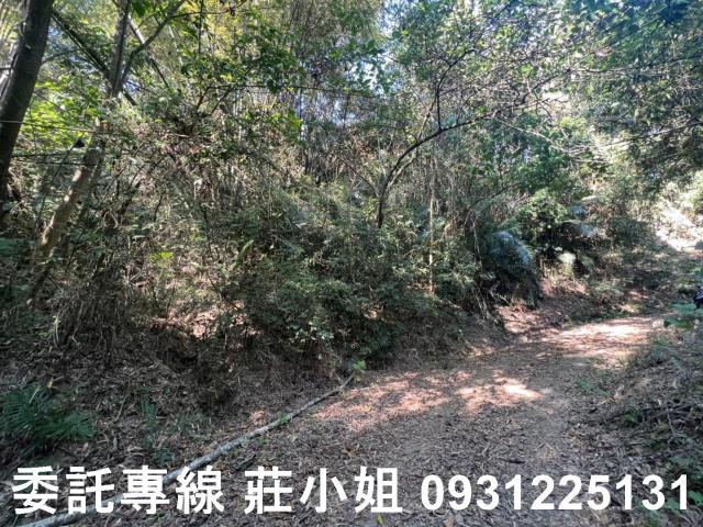 左鎮農地-1