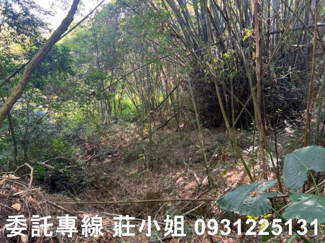 左鎮農地-3