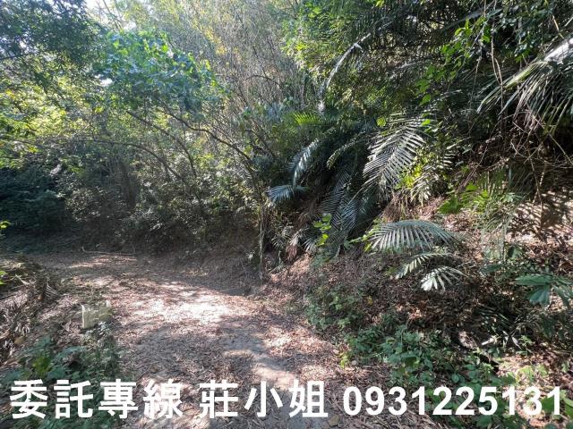 左鎮農地-4