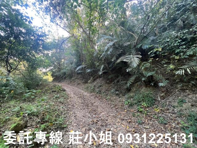 左鎮農地-5