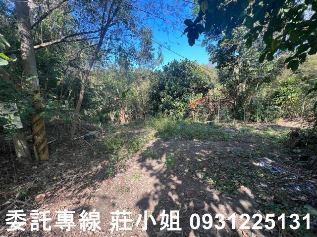 左鎮農地-6
