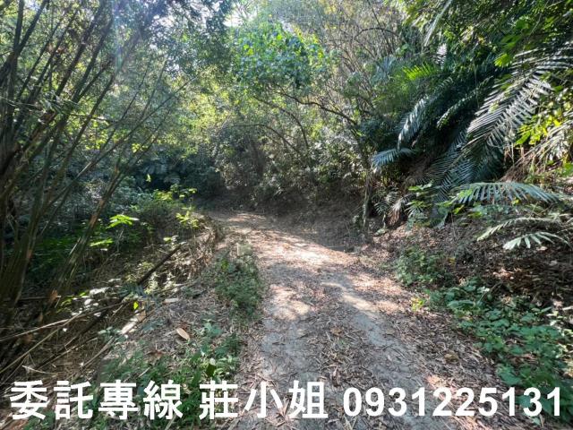 左鎮農地-7