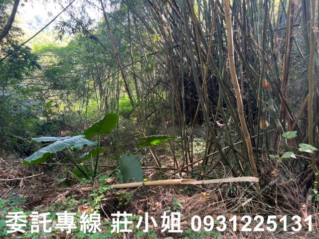 左鎮農地-8
