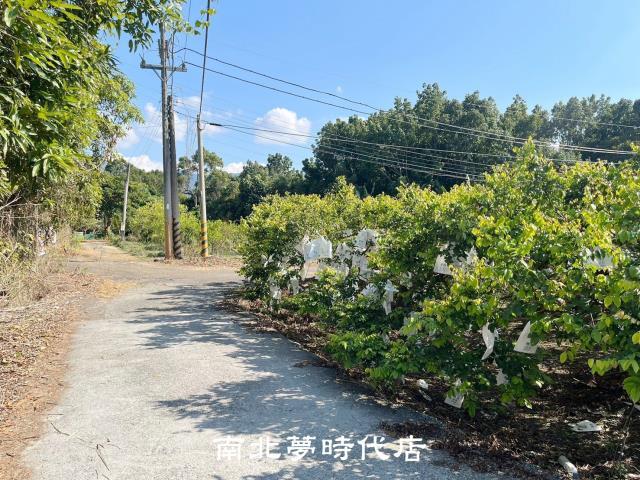 台南楠西農地-1