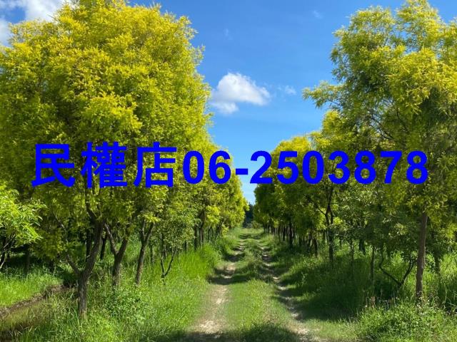 台南六甲農地-11