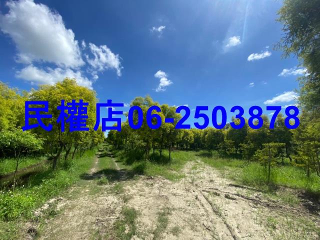 台南六甲農地-12