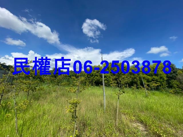 台南六甲農地-13