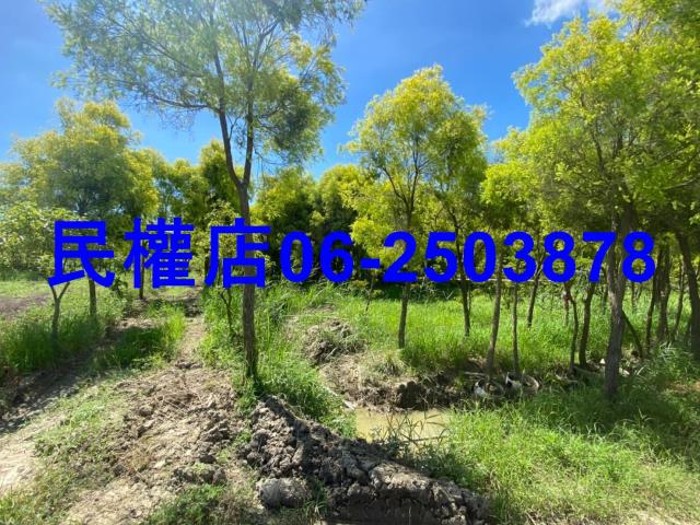 台南六甲農地-5