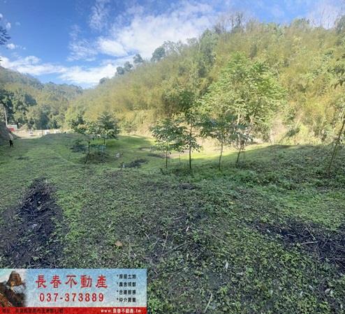 頭屋農地-1