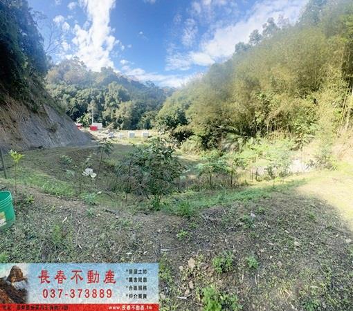 頭屋農地-2
