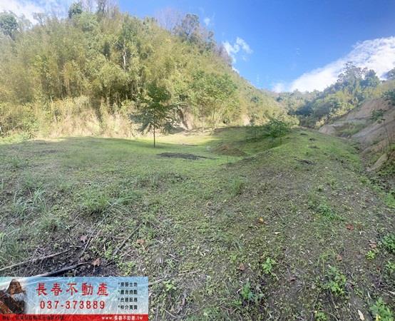 頭屋農地-3