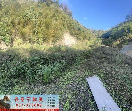 頭屋農地-4