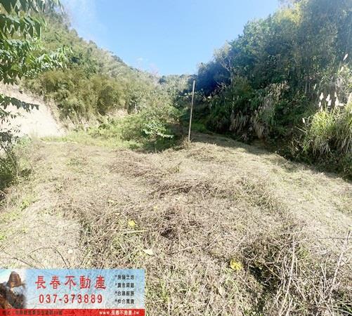 頭屋農地-5