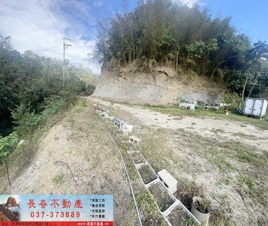 頭屋農地-6