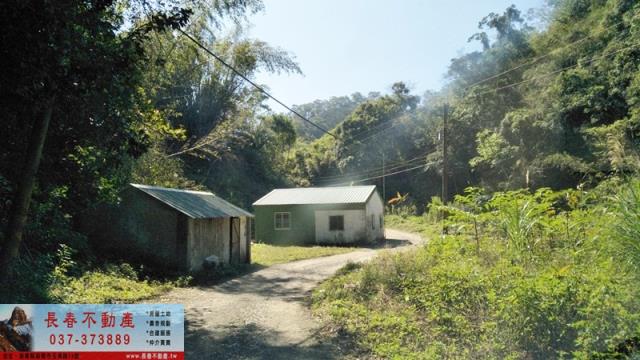 頭屋農地-7