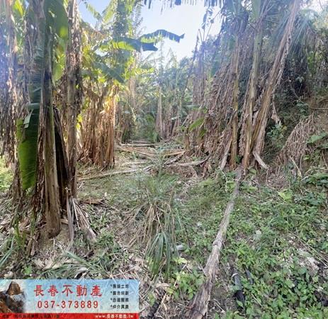 大湖農地-1