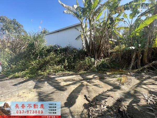 大湖農地-3
