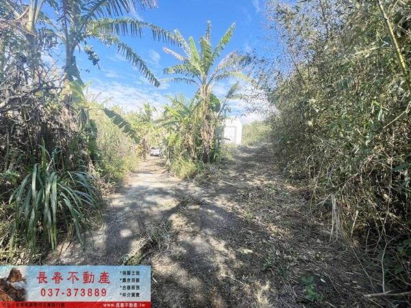 大湖農地-5