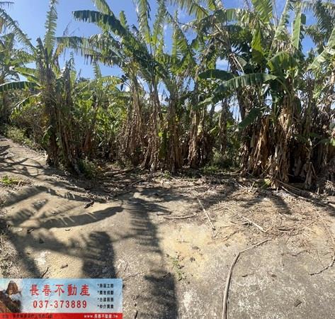 大湖農地-6