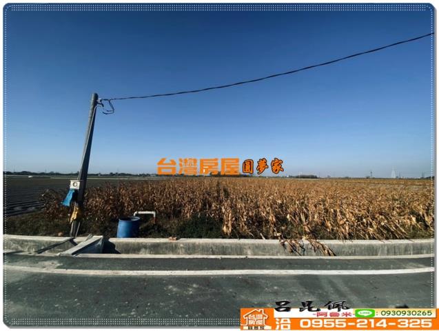 水林農地-2