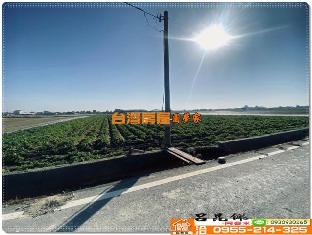 水林農地-3