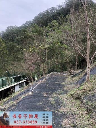 苗栗頭屋農地-3