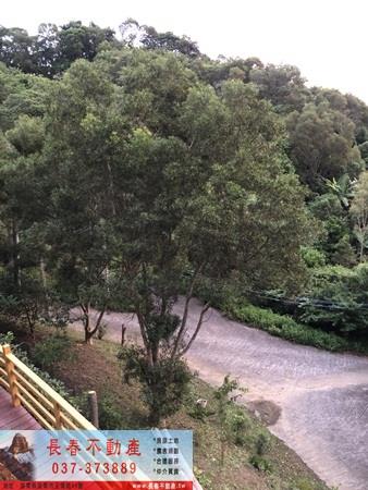 苗栗頭屋農地-4