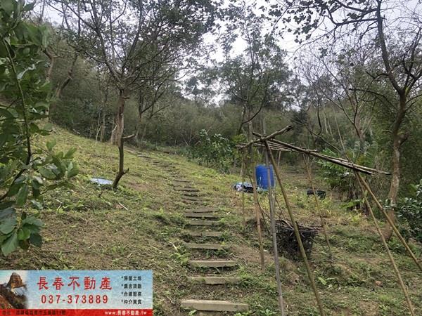 苗栗頭屋農地-6