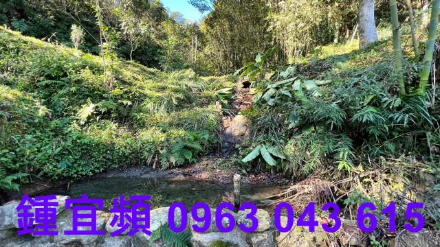 尖石農地-13