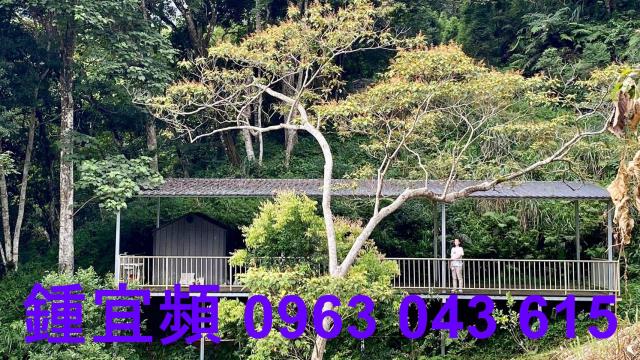 尖石農地-1