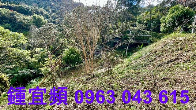 尖石農地-6