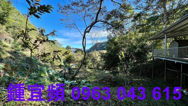 尖石農地-9