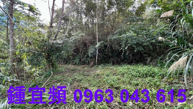 尖石農地-5