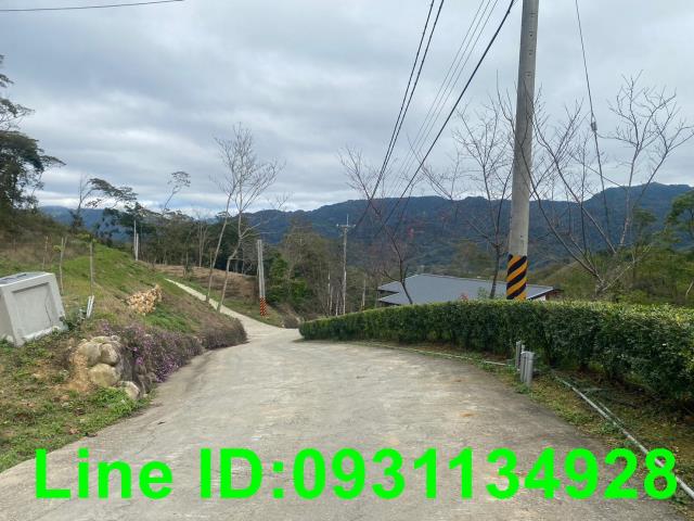 銅鑼農地-3