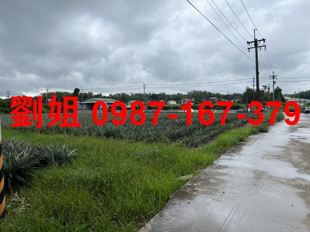 大樹農地-1
